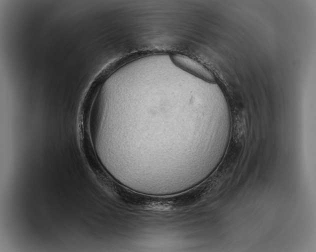 X0000094810680200712071226