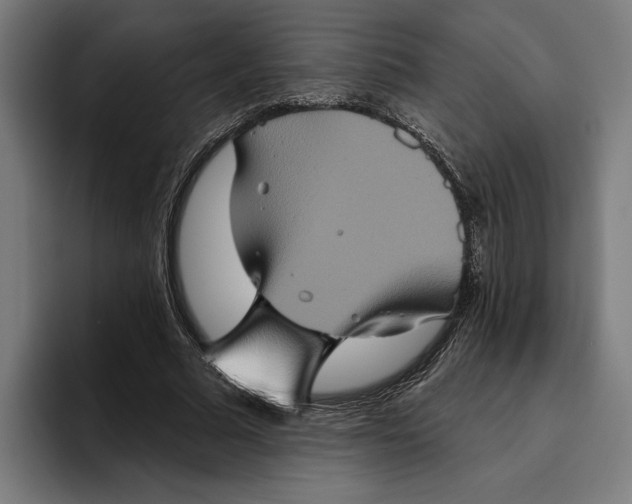 X0000094810681200712071226