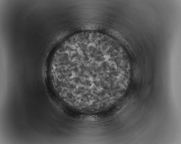 X0000094810683200712071226