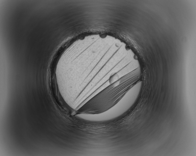 X0000094810684200712071226