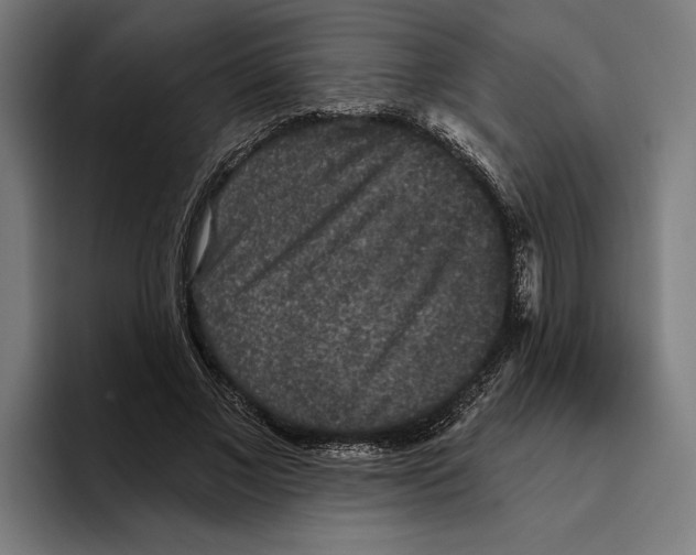 X0000094810685200712071226