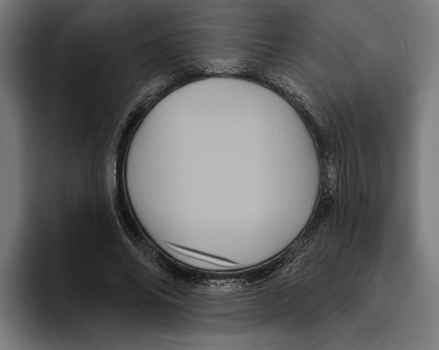 X0000094810686200712071226