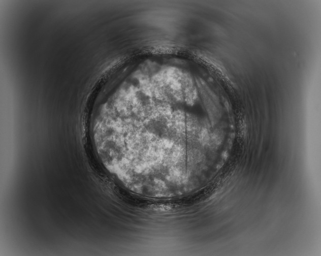 X0000094810687200712071226