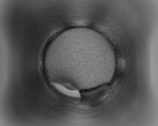 X0000094810688200712071226