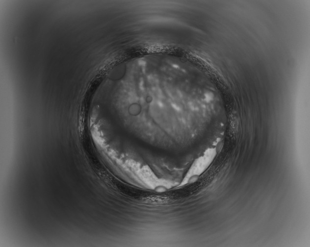 X0000094810691200712071226