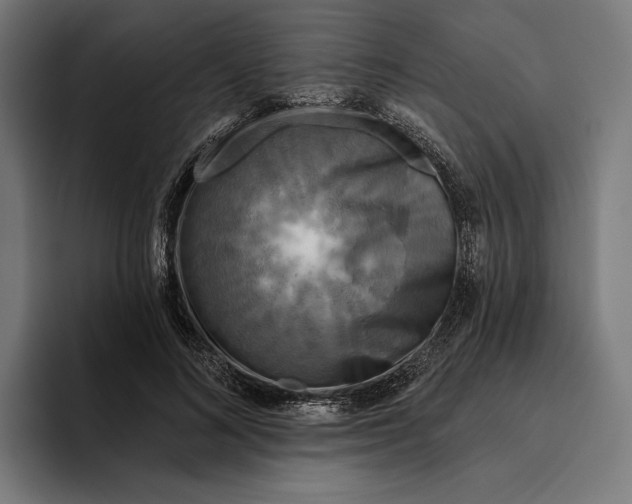 X0000094810692200712071226