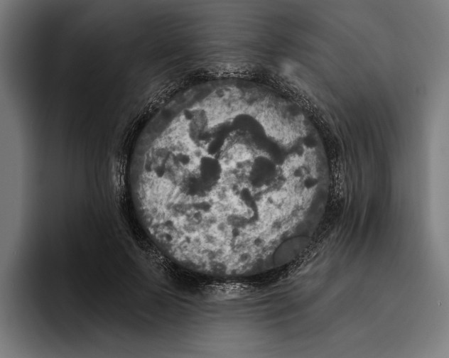 X0000094810695200712071226