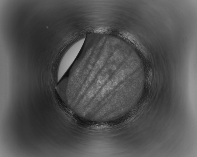 X0000094810696200712071226