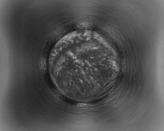 X0000094810699200712071226