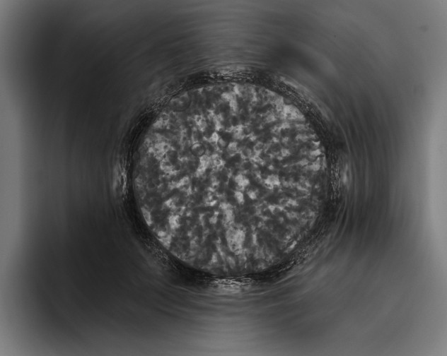 X0000094810703200712071225