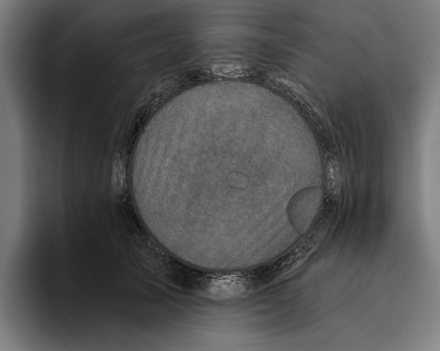 X0000094810705200712071225