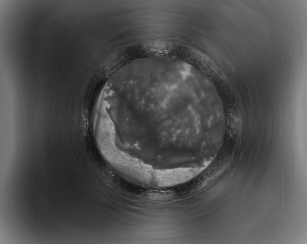 X0000094810707200712071225