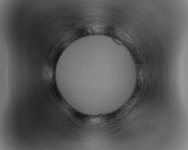 X0000094810709200712071225