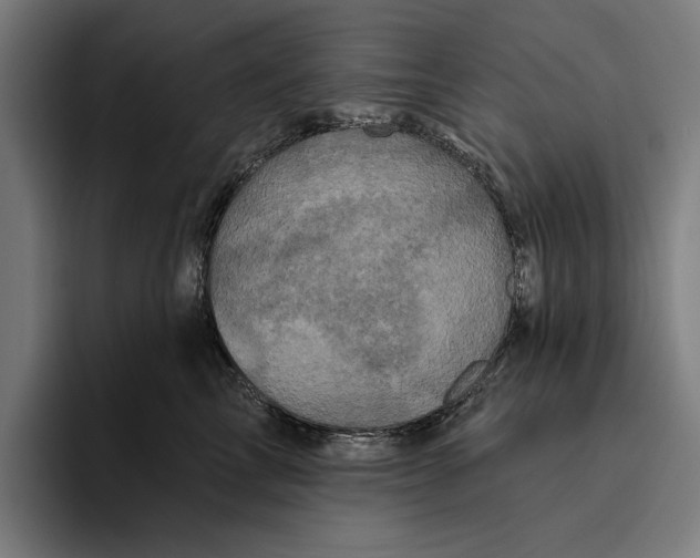 X0000094810713200712071225