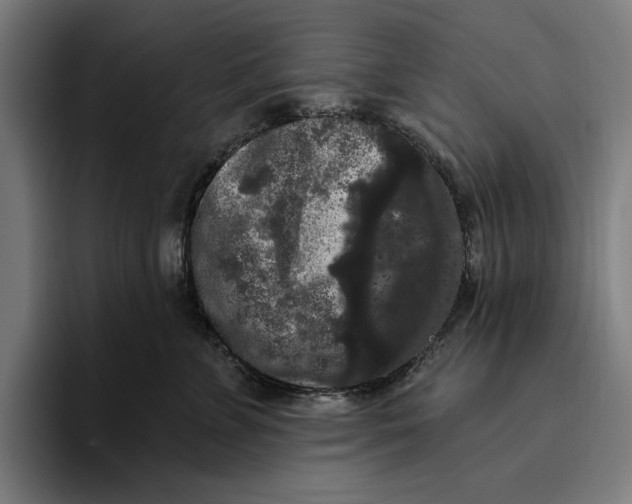 X0000094810715200712071225