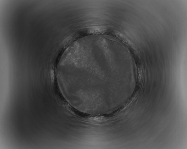 X0000094810716200712071225