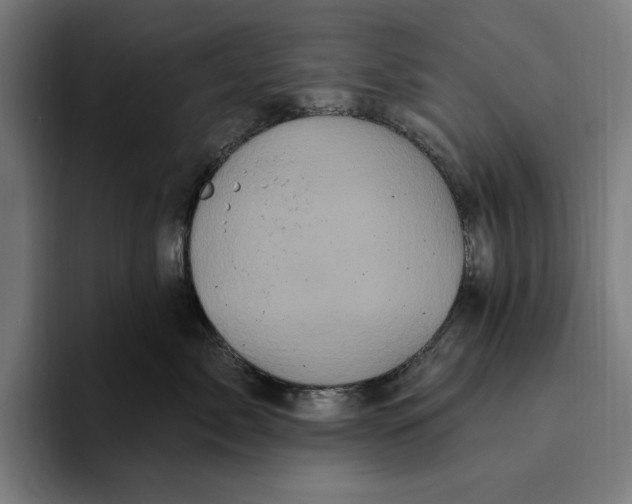 X0000094810717200712071225