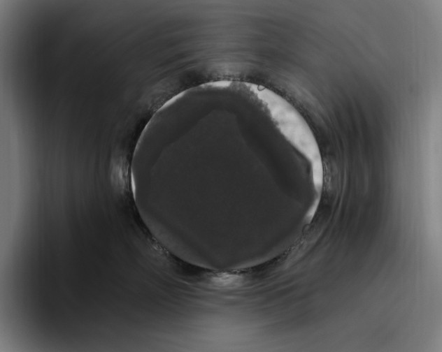 X0000094810718200712071225