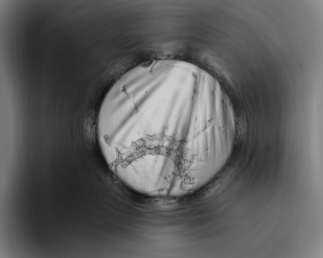 X0000094810719200712071225