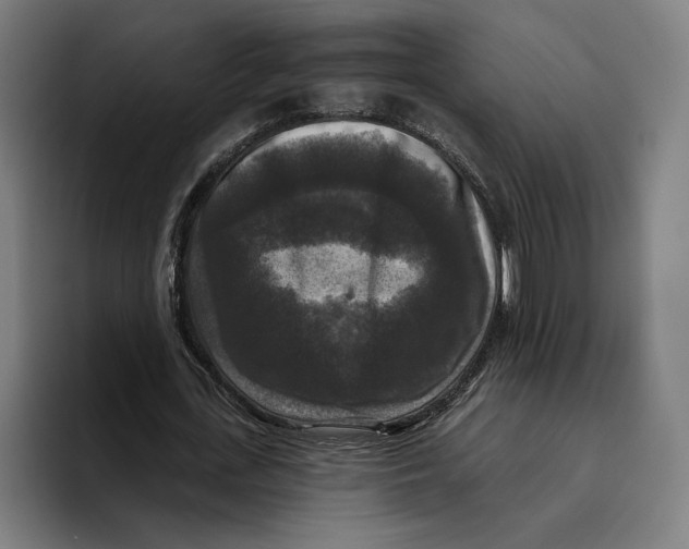 X0000094810723200712071225