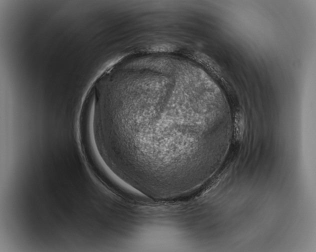 X0000094810726200712071225