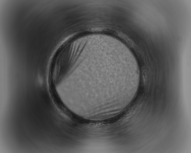 X0000094810728200712071225