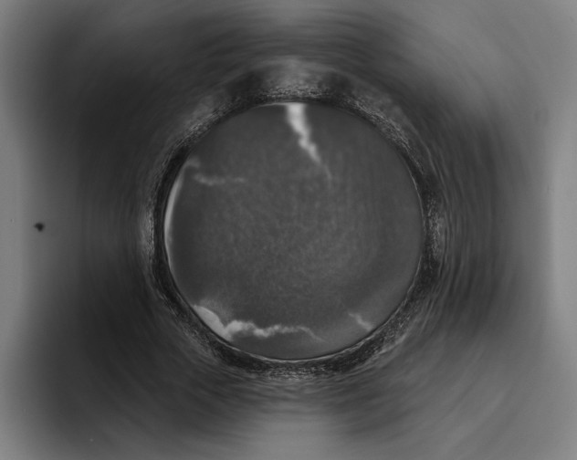 X0000094810729200712071225