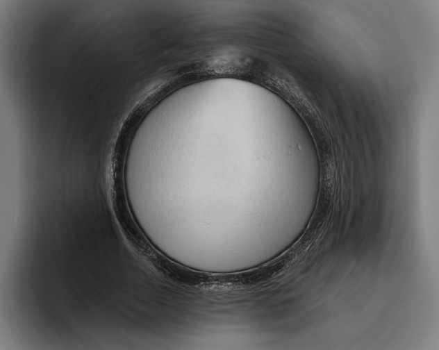 X0000094810730200712071225