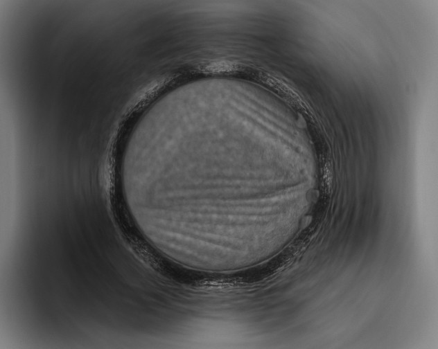 X0000094810732200712071225