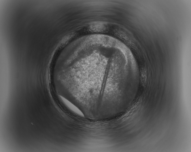 X0000094810734200712071225