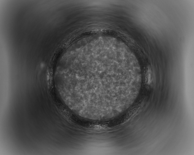 X0000094810737200712071225