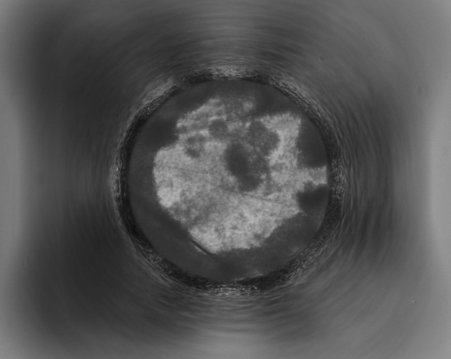 X0000094810738200712071225