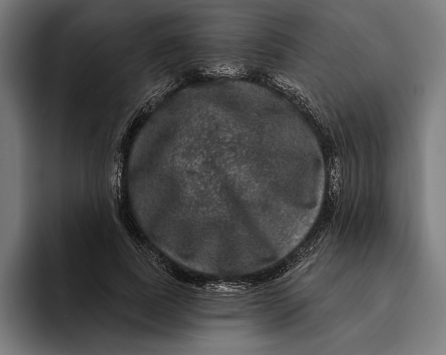 X0000094810739200712071225