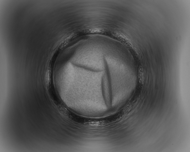 X0000094810740200712071225