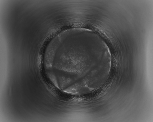 X0000094810742200712071225