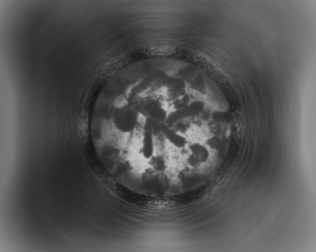 X0000094810745200712071225