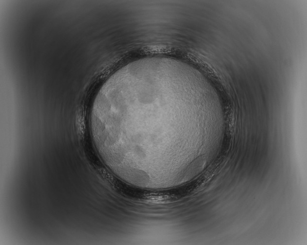 X0000094810746200712071225