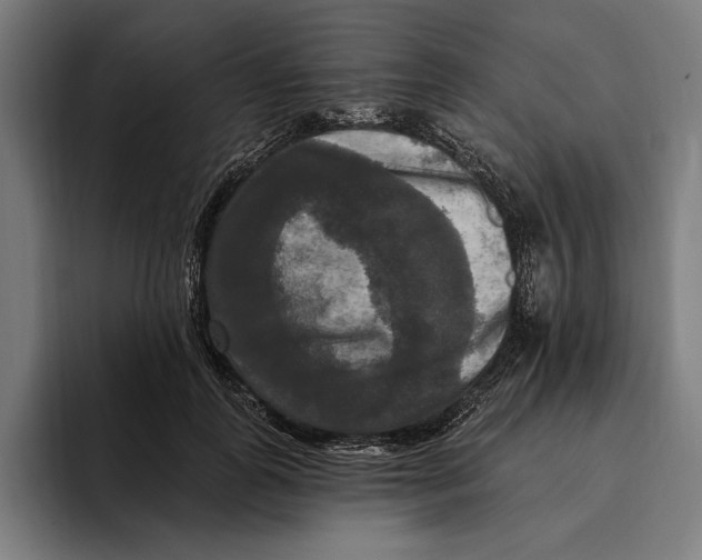 X0000094810747200712071225