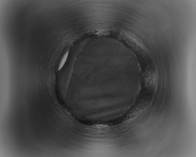 X0000094810748200712071225