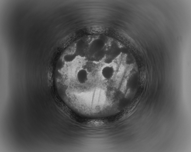 X0000094810749200712071225