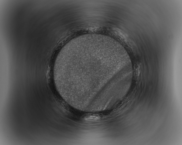 X0000094810750200712071225