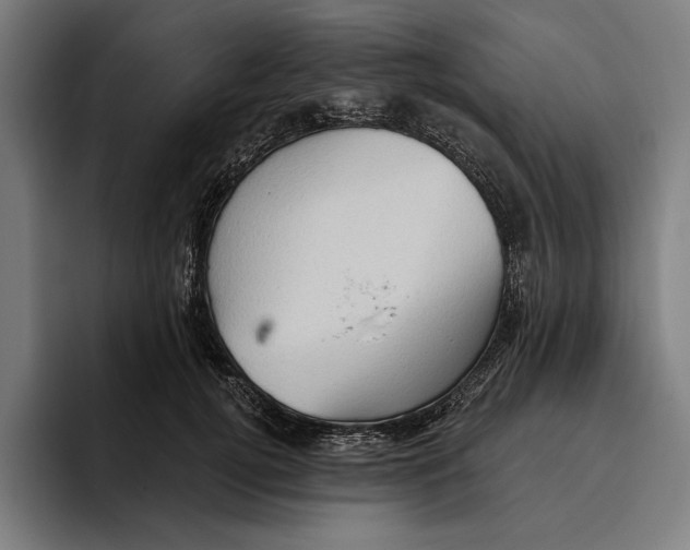 X0000094810752200712071225