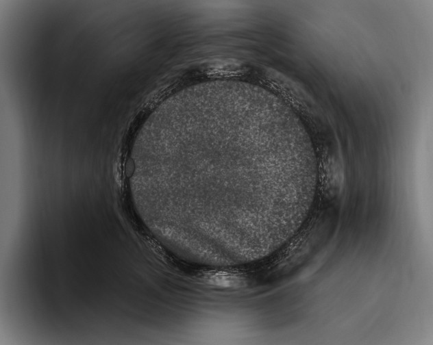 X0000094810755200712071225