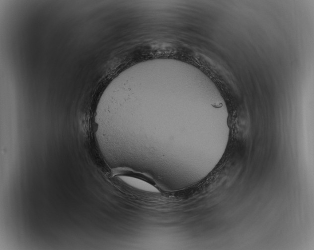 X0000094810756200712071225