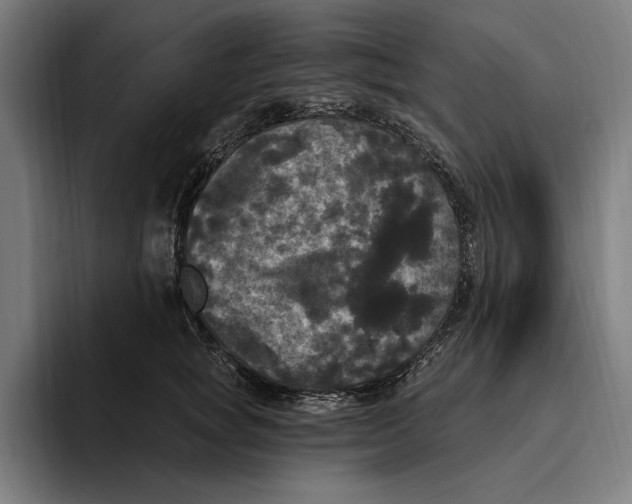 X0000094810757200712071225