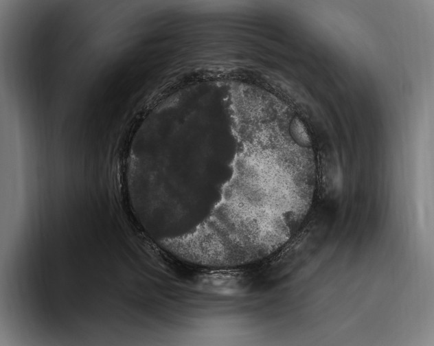 X0000094810758200712071225