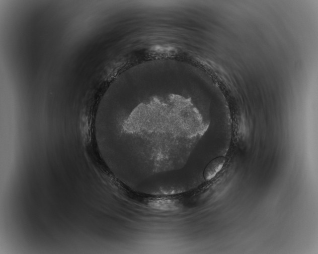 X0000094810759200712071225