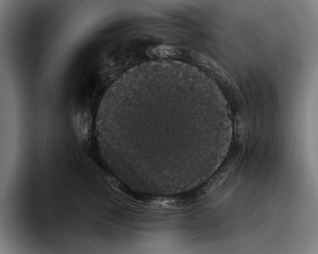 X0000094810760200712071225