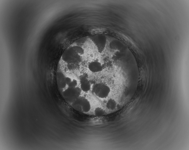 X0000094810761200712071225