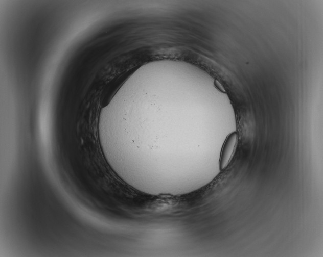 X0000094810764200712071225